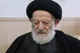 آیت‌الله شبیری زنجانی: حضور در مراسم عزاداری جایز نیست + جزئیات