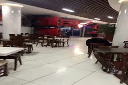 تجارت جدید علی دایی+ عکس