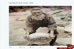 عكس/ جستجوگر طلا