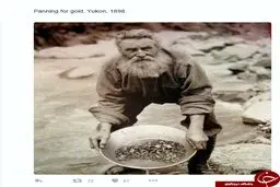 عكس/ جستجوگر طلا