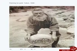 عكس/ جستجوگر طلا
