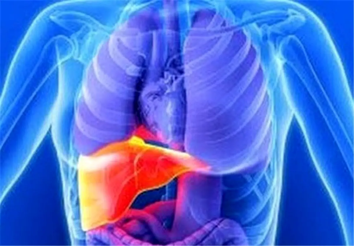 علائم کبد چرب چیست + رژیم غذایی درمانی