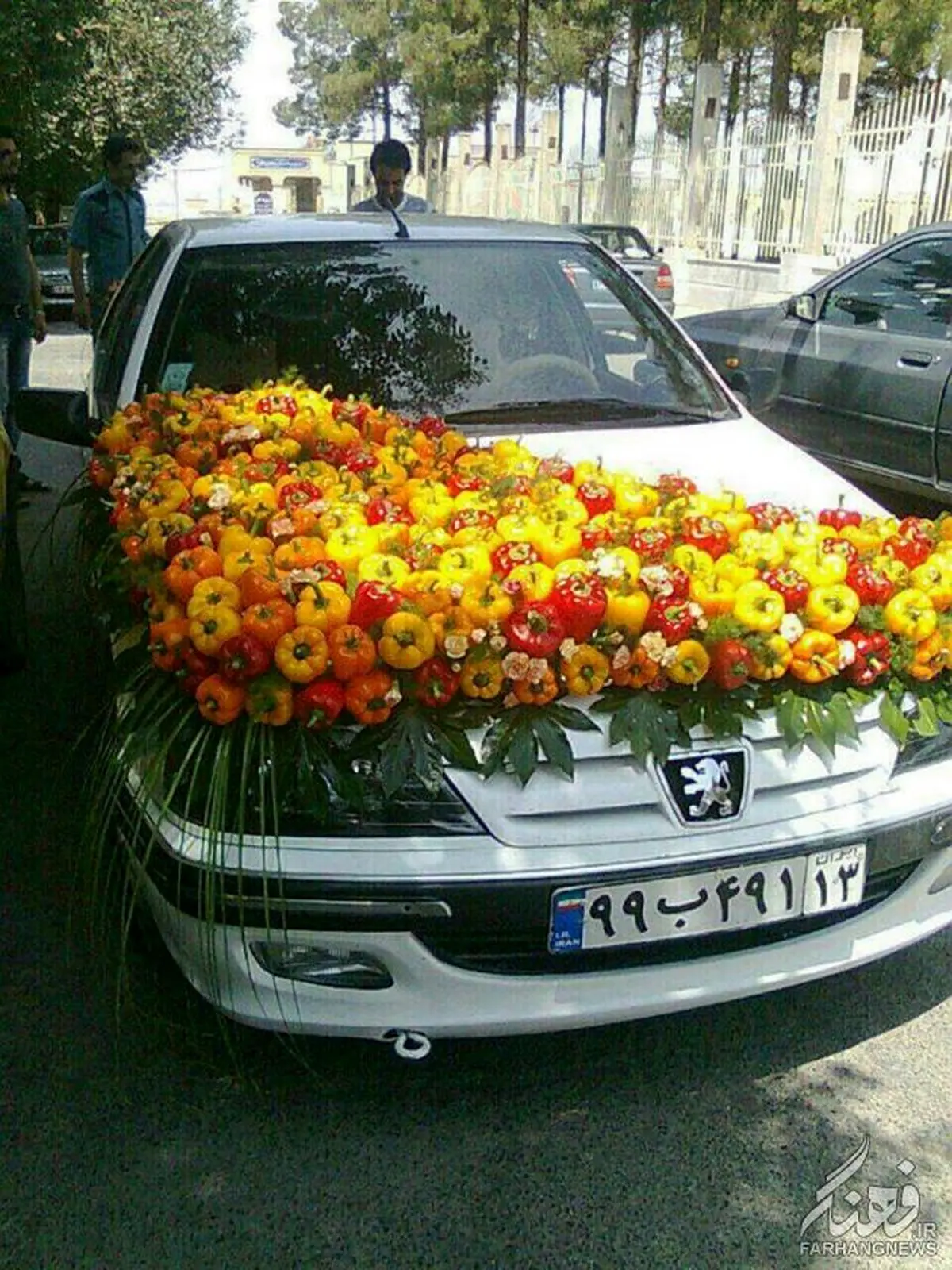 تزیین ماشین عروس با فلفل دلمه ای/عکس