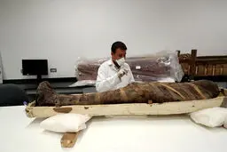عکس / کشف مجسمه جدید ابوالهول