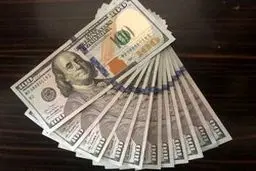آیا دلار وارد کانال 14 هزارتومان می شود؟ / قیمت دلار امروز 19 فروردین ماه