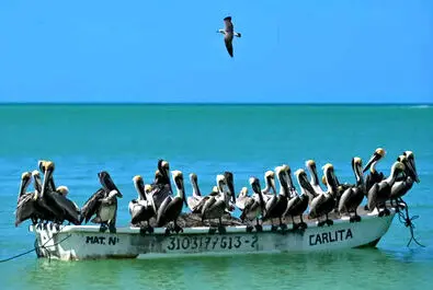 تصاویر روز