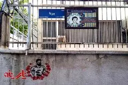 گرافیتی "سعید معروف" روی دیوار