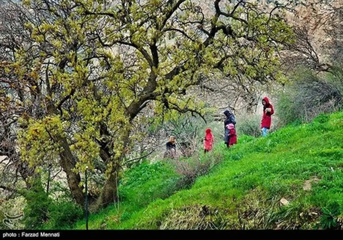 عکس/ طبیعت و میراث بکر شهرستان ریجاب