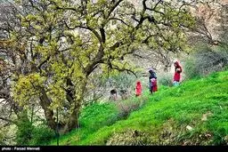 عکس/ طبیعت و میراث بکر شهرستان ریجاب
