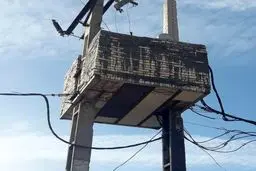 تصویری جالب از محافظت ترانس برق‌/ عکس