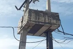 تصویری جالب از محافظت ترانس برق‌/ عکس