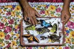 برترین‌های نشنال جئوگرافیک در سال۲۰۱۸ / تصاویر