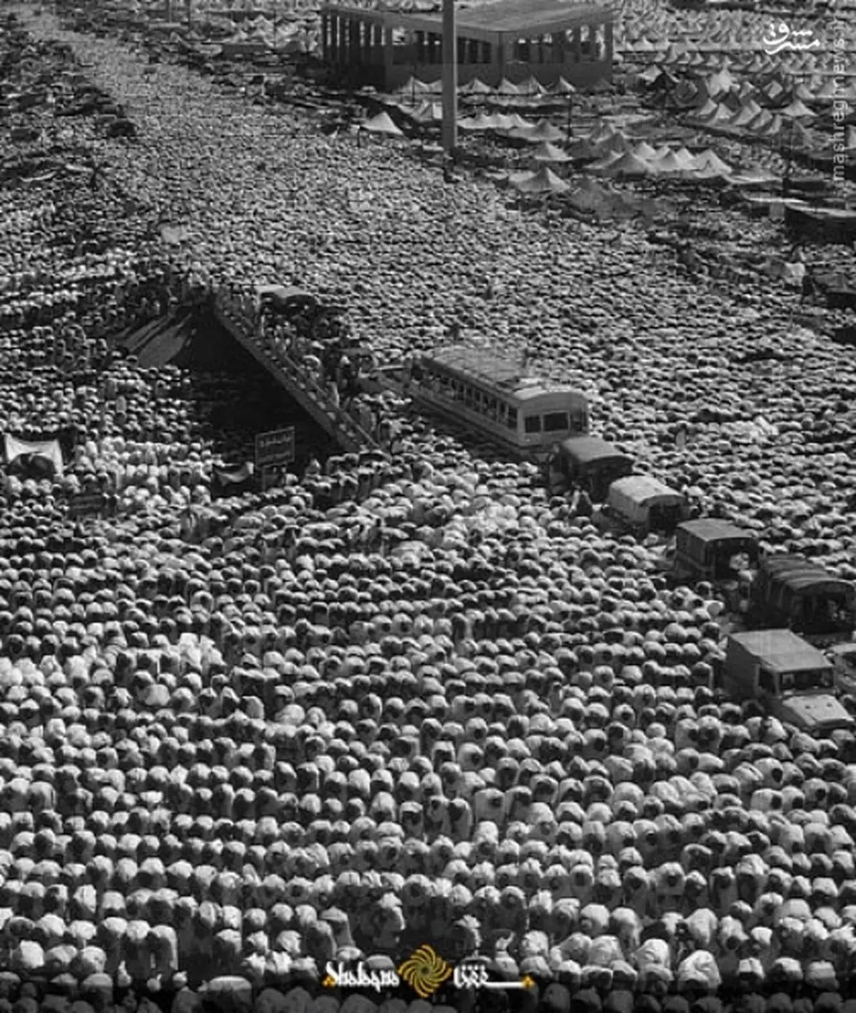 عکس تاریخی از نماز جماعت در مشعرالحرام