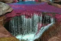 عکس شگفت انگیز از رودخانه جالب "پنج رنگ"