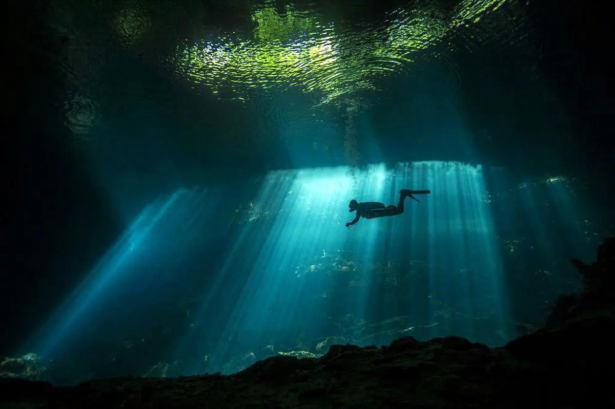 تصویری خارق‌العاده از شاهکار عکاسی در زیر آب