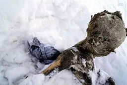 کشف جسد کوه نورد مدفون در برف ، پس از 55 سال / تصاویر