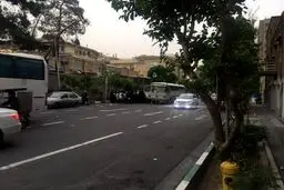 حاميان اتوبوسي قاليباف/ تصاویر