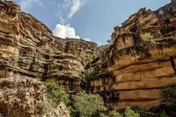 تصاویری رویایی از طبیعت زیبای کوهدشت