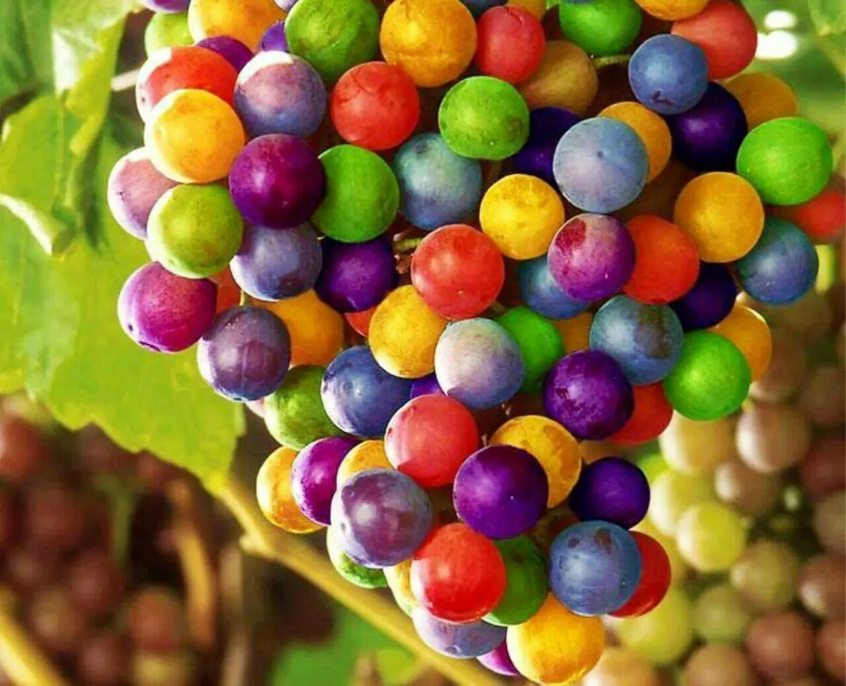 برای این تصویر زیبا فتوشاپ لازم نیست