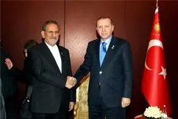 دیدار جهانگیری با اردوغان/عکس