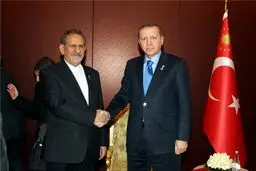 دیدار جهانگیری با اردوغان/عکس