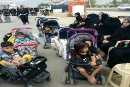 عاشقی سن و سال نمیشناسه /عکس