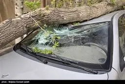 تصاویری از خسارات تندباد و طوفان در ارومیه