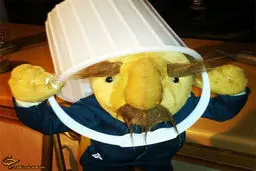 فامیل‌دور هم به کمپین آب‌یخ پیوست /عکس