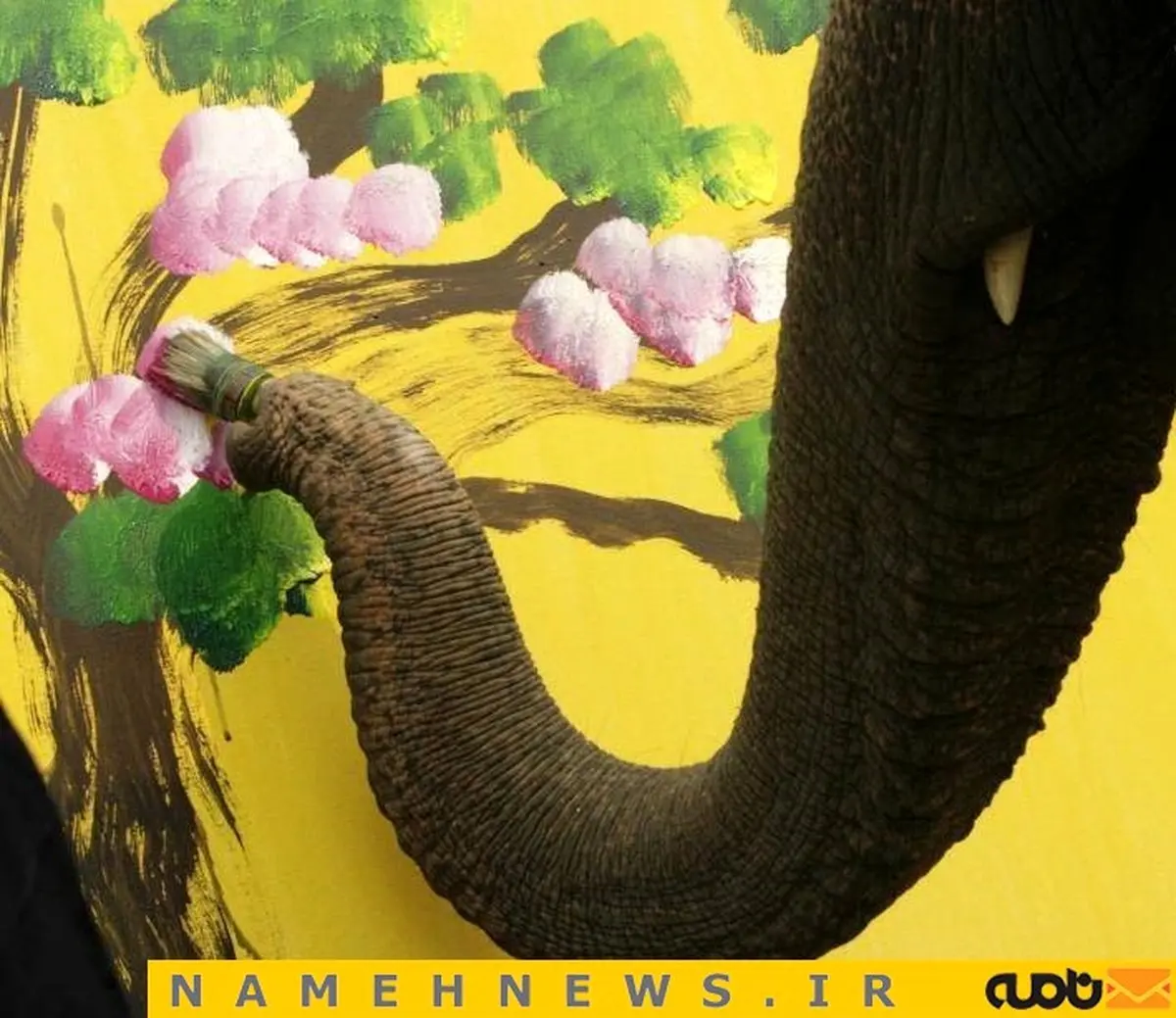 وقتی هنر حیوانات گل میکند / تصاویر