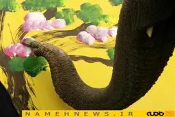وقتی هنر حیوانات گل میکند / تصاویر