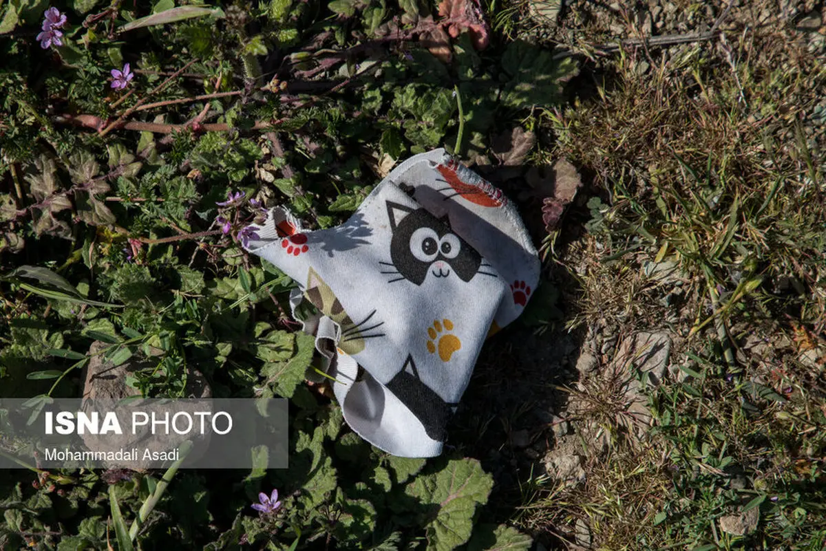 تصاویر تلخ از ماسک‌های رها شده در طبیعت!