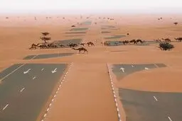 تصویری زیبا از ‏نبرد طبیعت و انسان / عکس