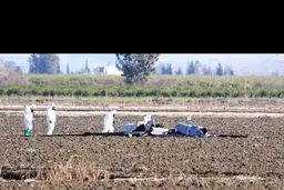 سقوط پهپاد آمریکایی در جنوب ترکیه/عکس