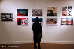 نمایشی از تصاویر سال در خانه هنرمندان/تصاویر