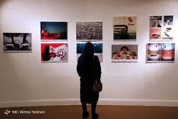 نمایشی از تصاویر سال در خانه هنرمندان/تصاویر