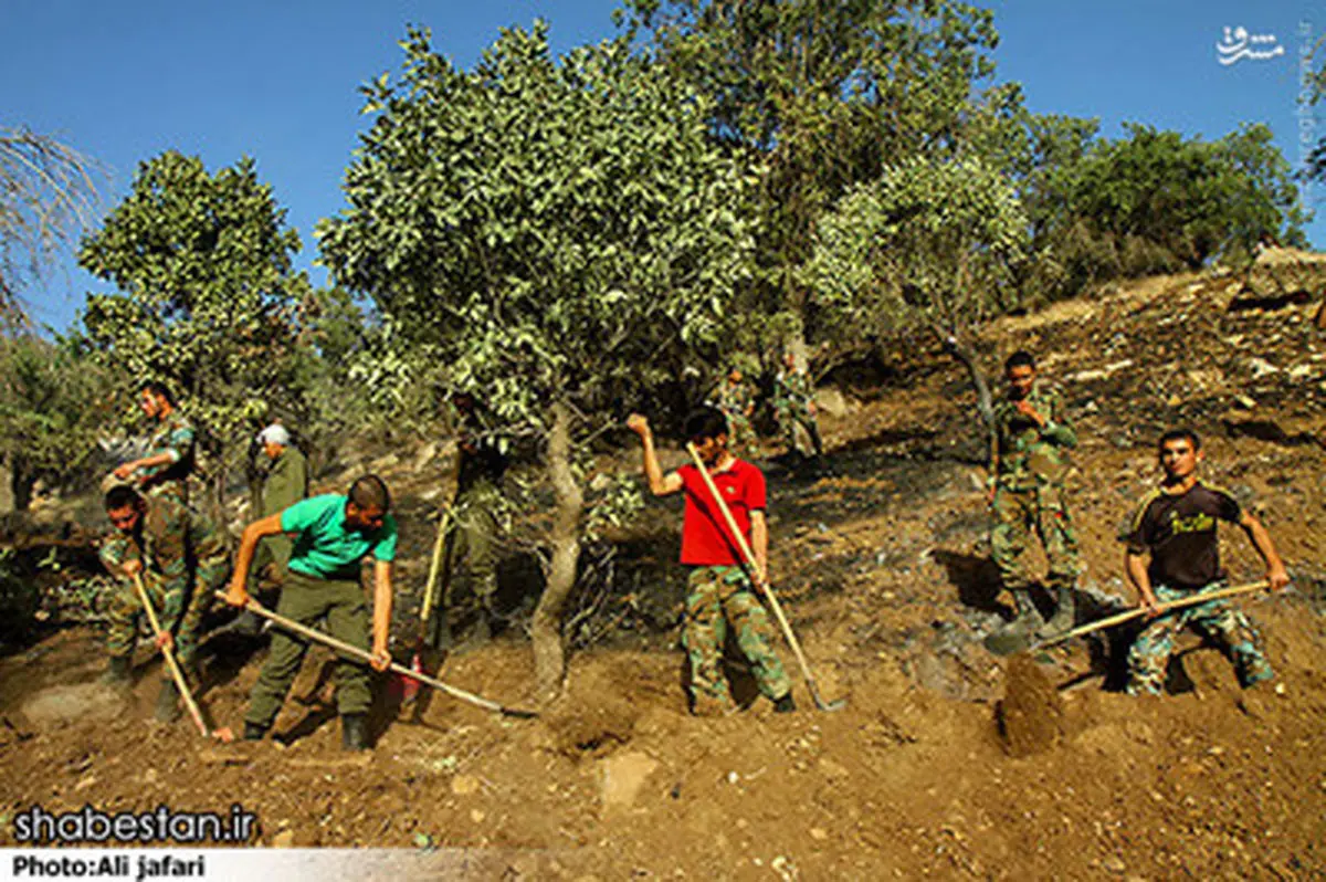 همدلی مردم در اطفاء حریق جنگل‌های ایلام/تصاویر