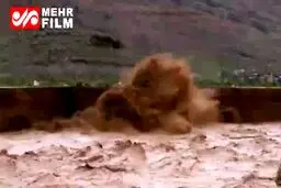 ببینید؛ نجات معجزه آسای سواری پژو در حاشیه رودخانه خروشان
