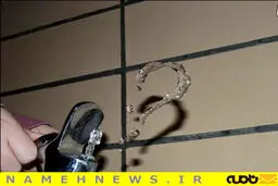 مثل اینکه آب هم سوال دارد / عکس