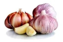 معجزه درمانی قرار دادن یک حبه سیر زیر بالشت!