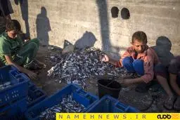 غزه در آرامش/ عکسی از فروش ماهی در سواحل این کشور