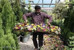 شیراز در آستانه نوروز/تصاویر