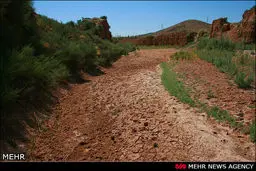 سرنوشت اسفناک شهر شعر و بهار نارنج/ تصاویر