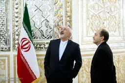 ظریف به کجا نگاه می‌کند؟/ عکس
