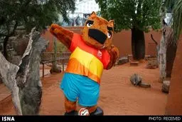 رونمایی از نماد جام ملت‌های آسیا + عکس