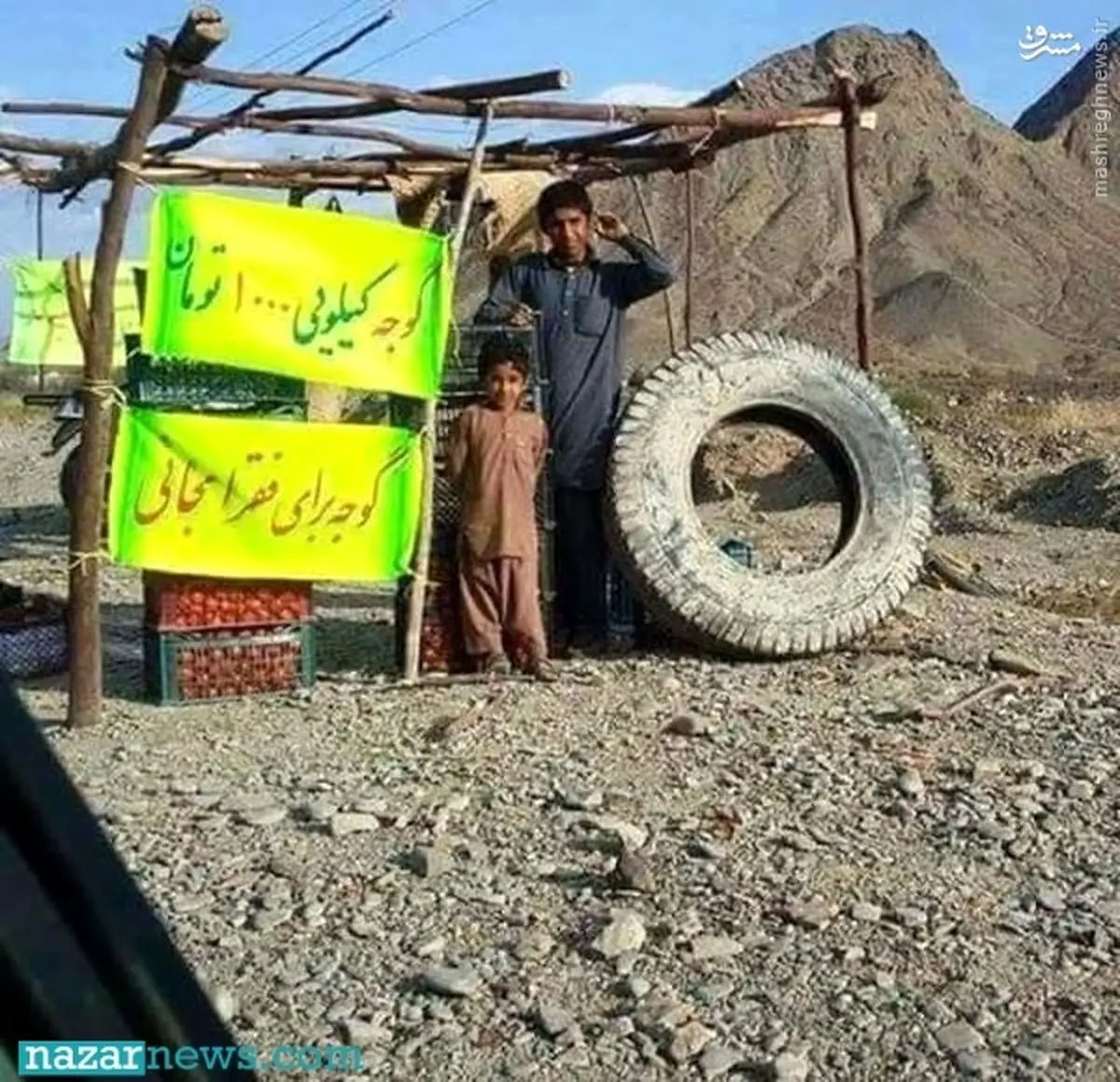 گوجه کیلویی ۱۰۰۰ اما برای فقرا مجانی/عکس