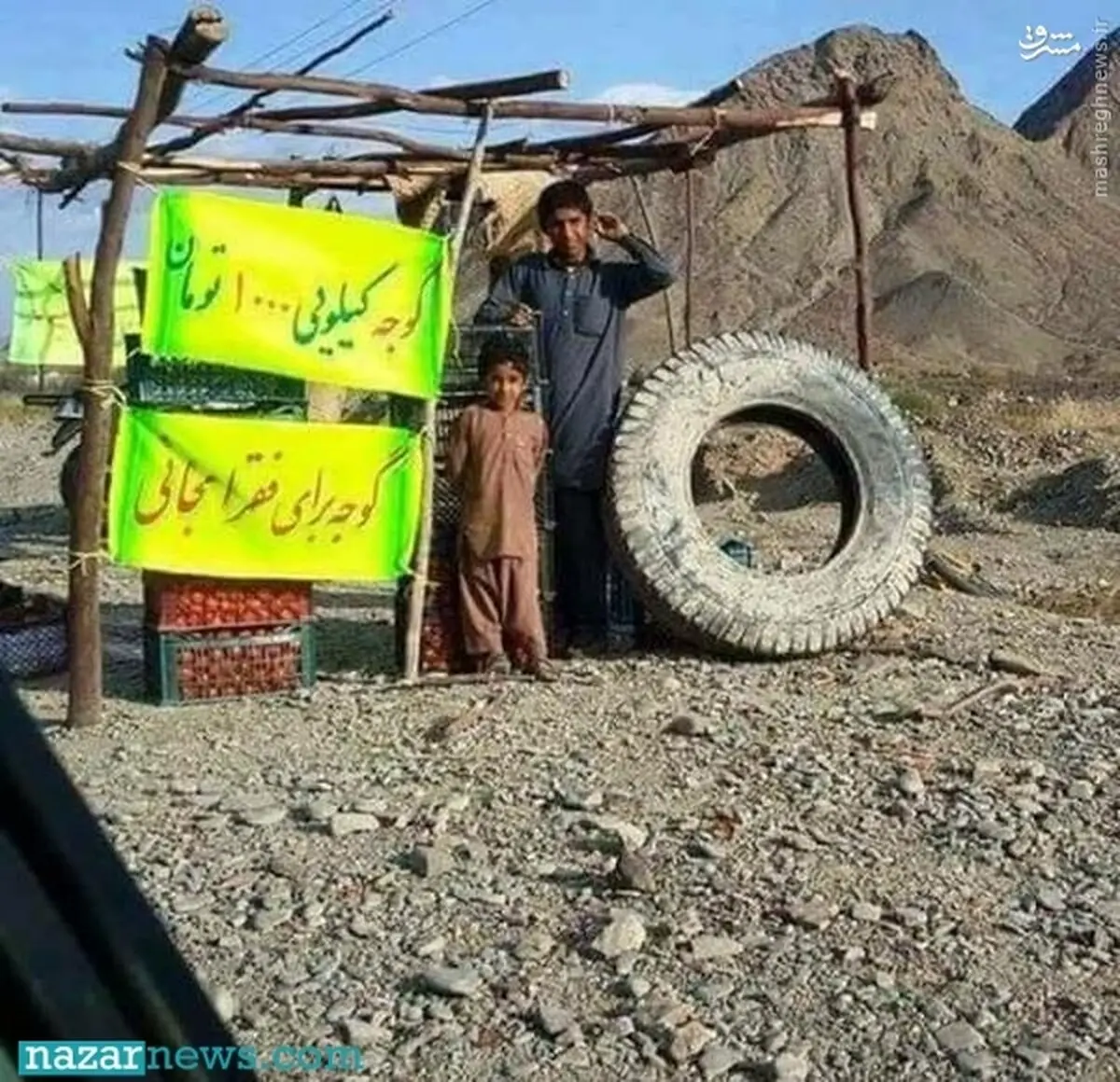 گوجه کیلویی ۱۰۰۰ اما برای فقرا مجانی/عکس