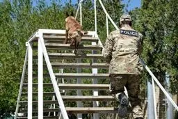 تصاویر: آموزش سگ های پلیس درمرکز« سَپْکا» در البرز