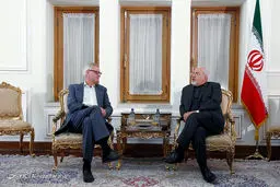 پیراهن مشکی ظریف در دیدار با یک مقام سوئدی/عکس