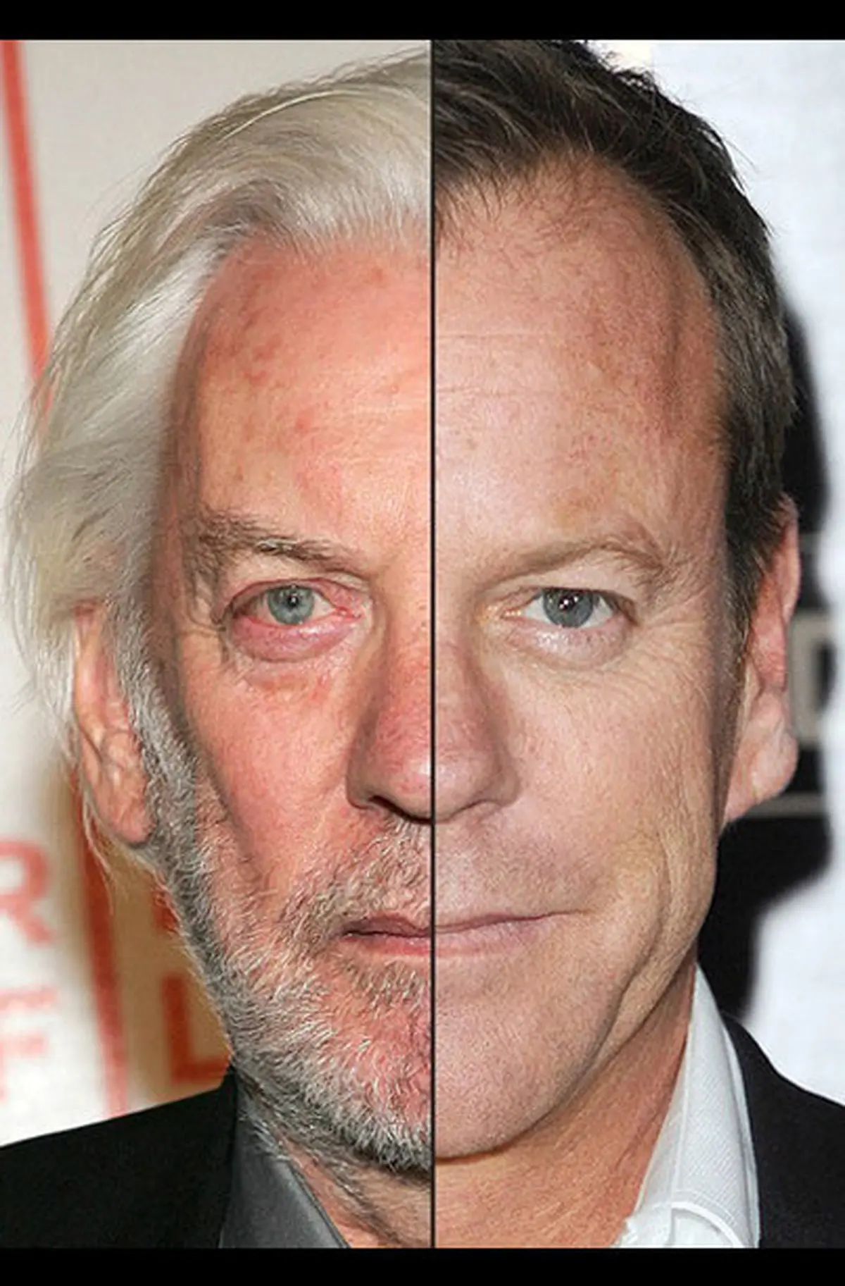 نیم‌چهره‌هایی شبیه هم/ ستارگان سینما تکثیر شدند +تصاویر