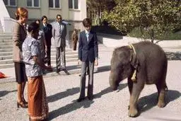 عکس دیده نشده از بچه فیل، هدیه خانواده سلطنتی تایلند به رضا پهلوی